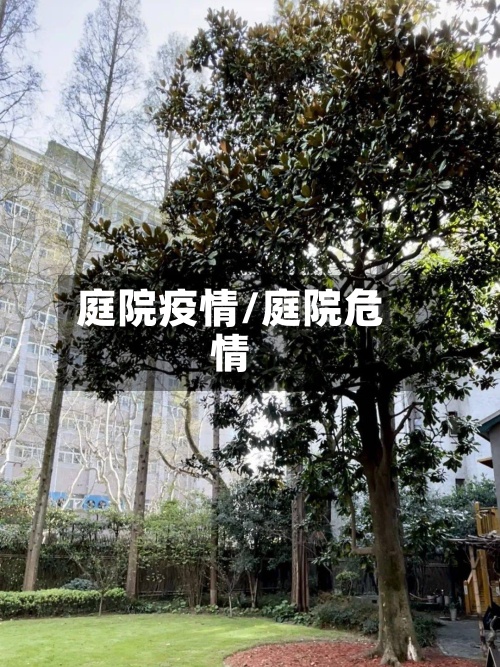 庭院疫情/庭院危情-第2张图片