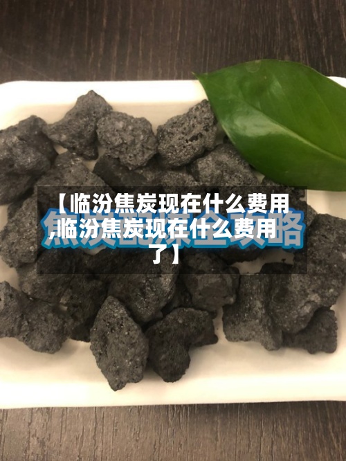 【临汾焦炭现在什么费用,临汾焦炭现在什么费用了】