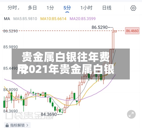 贵金属白银往年费用
/2021年贵金属白银-第3张图片