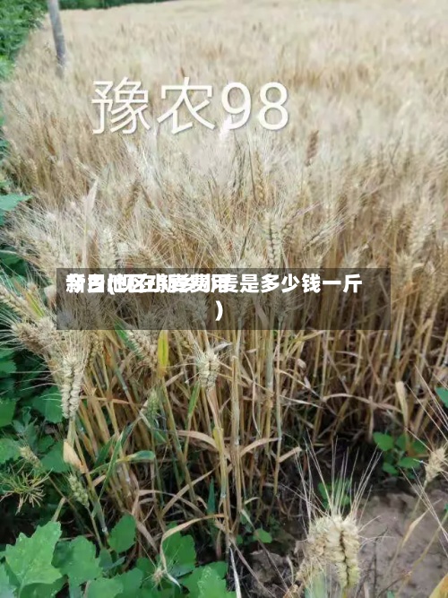 新乡地区小麦费用
今日(现在新乡小麦是多少钱一斤)