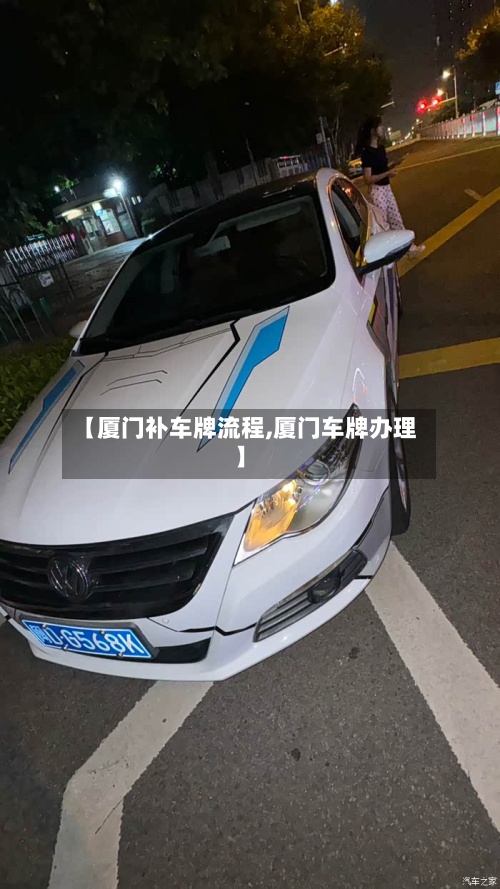 【厦门补车牌流程,厦门车牌办理】-第3张图片