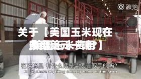 关于【美国玉米现在费用
,美国玉米费用
多少美元一吨?】-第2张图片