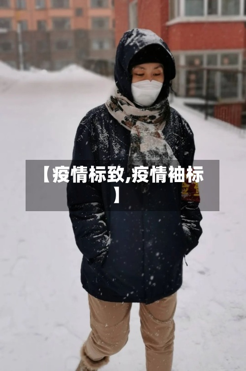 【疫情标致,疫情袖标】-第2张图片