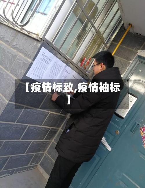 【疫情标致,疫情袖标】