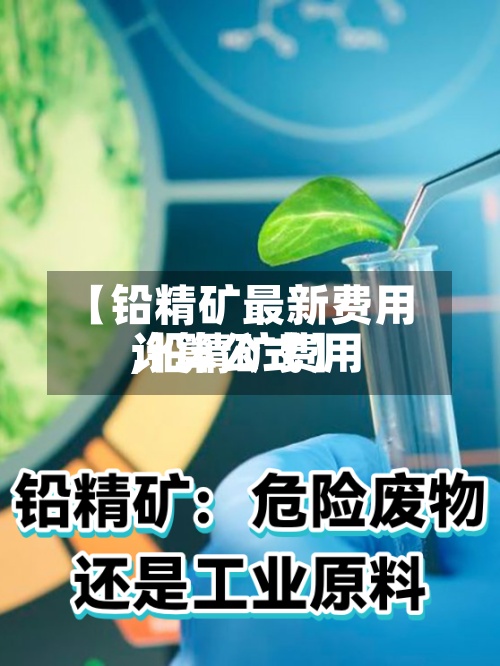 【铅精矿最新费用
,铅精矿费用
计算公式】-第2张图片
