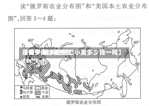 【俄罗斯小麦费用是多少,俄罗斯进口小麦多少钱一吨】-第2张图片