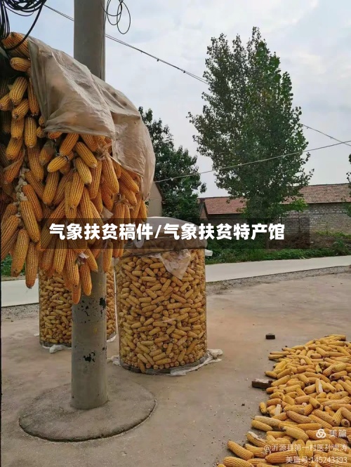 气象扶贫稿件/气象扶贫特产馆-第3张图片