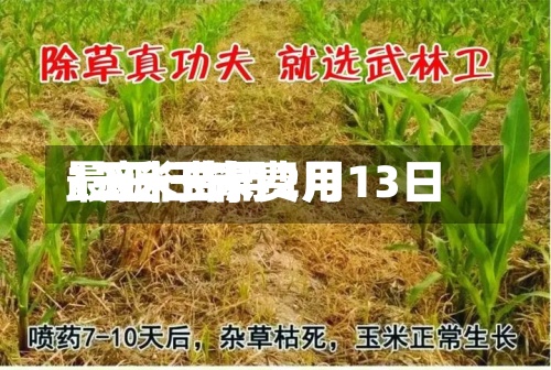 13日玉米费用
/玉米费用
最新行情12月13日
