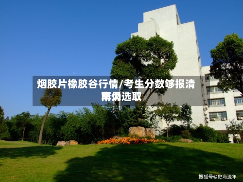 烟胶片橡胶谷行情/考生分数够报清华仍选取
南大-第2张图片