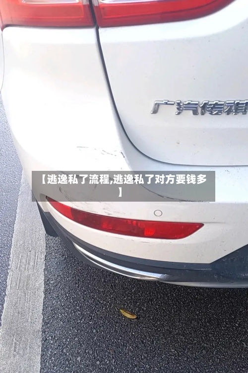 【逃逸私了流程,逃逸私了对方要钱多】