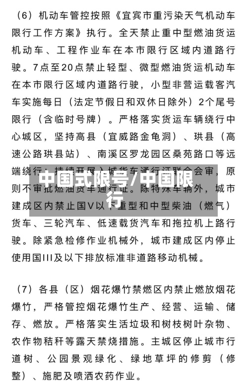 中国式限号/中国限行-第3张图片