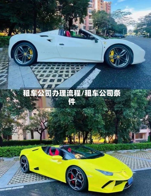 租车公司办理流程/租车公司条件