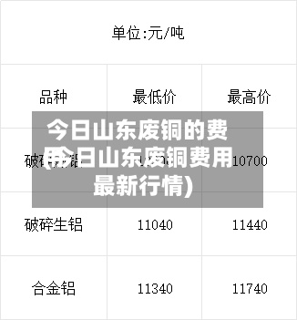 今日山东废铜的费用(今日山东废铜费用最新行情)