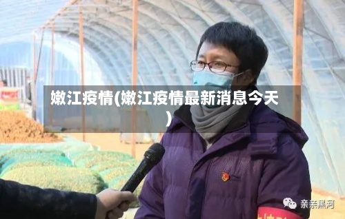 嫩江疫情(嫩江疫情最新消息今天)-第3张图片