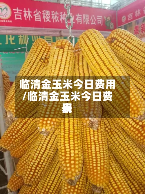 临清金玉米今日费用
/临清金玉米今日费用
表