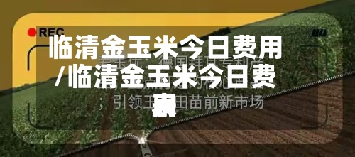 临清金玉米今日费用
/临清金玉米今日费用
表-第3张图片