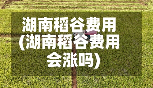 湖南稻谷费用
(湖南稻谷费用
会涨吗)-第2张图片