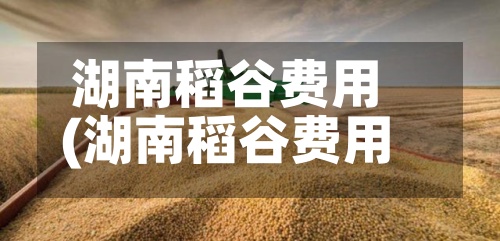 湖南稻谷费用(湖南稻谷费用会涨吗)