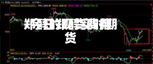 郑醇的现货费用/今日郑醇实时期货