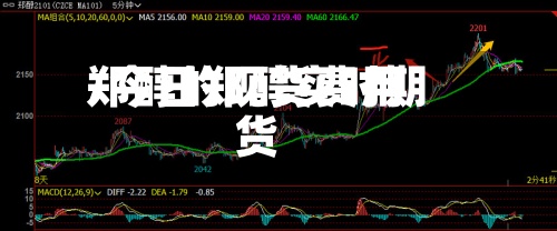 郑醇的现货费用/今日郑醇实时期货-第2张图片