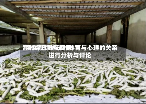 宜州今日鲜茧费用/用文献综述法对体育与心理的关系进行分析与评论