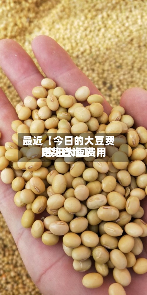 最近【今日的大豆费用
,今日大豆费用
走势查询】