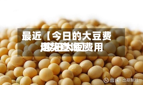最近【今日的大豆费用
,今日大豆费用
走势查询】-第3张图片