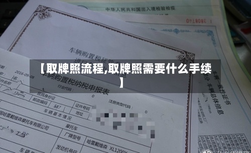 【取牌照流程,取牌照需要什么手续】