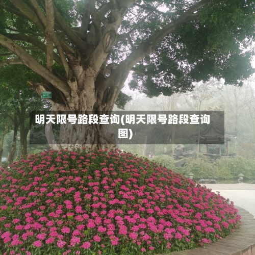 明天限号路段查询(明天限号路段查询图)