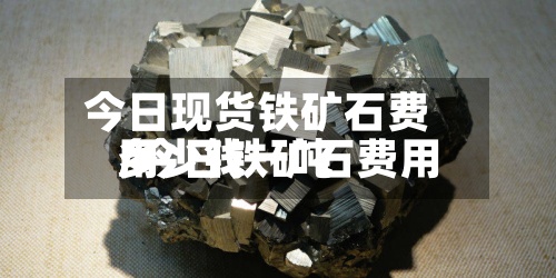 今日现货铁矿石费用
/今日铁矿石费用
多少钱一吨