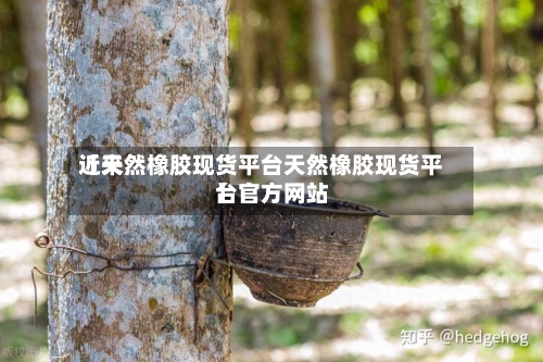 近来
【天然橡胶现货平台天然橡胶现货平台官方网站
】-第2张图片