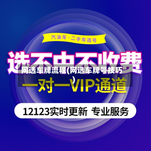 网选车牌流程(网选车牌号技巧)-第3张图片