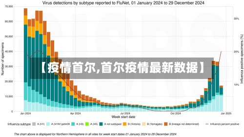 【疫情首尔,首尔疫情最新数据】-第3张图片