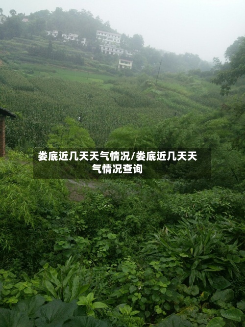 娄底近几天天气情况/娄底近几天天气情况查询