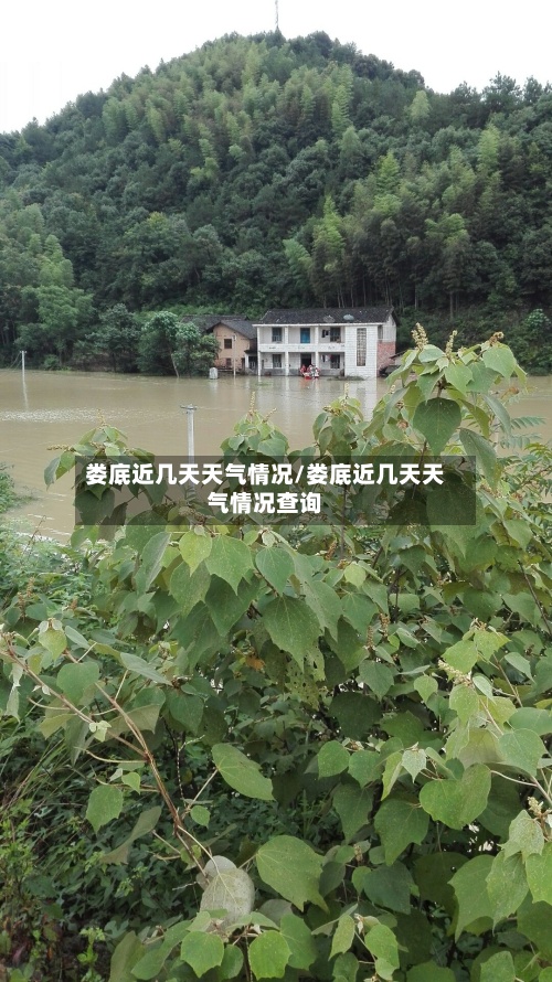 娄底近几天天气情况/娄底近几天天气情况查询-第2张图片