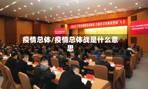 疫情总体/疫情总体战是什么意思