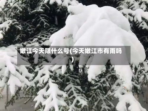 嫩江今天限什么号(今天嫩江市有雨吗)