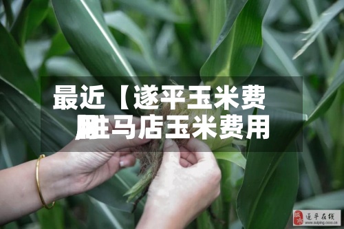 最近【遂平玉米费用
,驻马店玉米费用
】