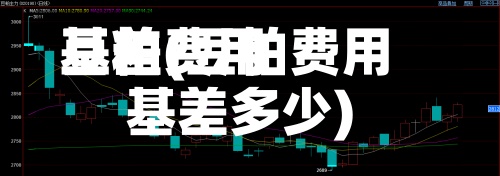 豆粕费用基差(豆粕费用基差多少)