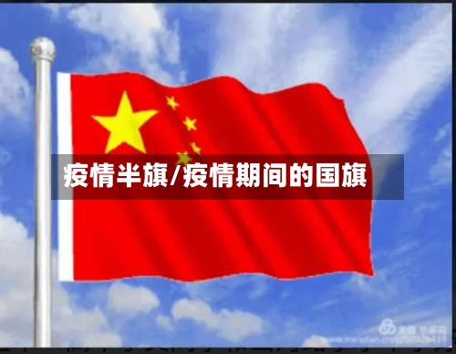 疫情半旗/疫情期间的国旗-第2张图片