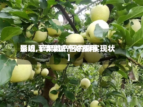 最近【苹果减产对费用影响,苹果减产区的真实现状】-第2张图片