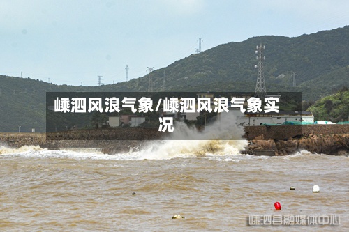 嵊泗风浪气象/嵊泗风浪气象实况