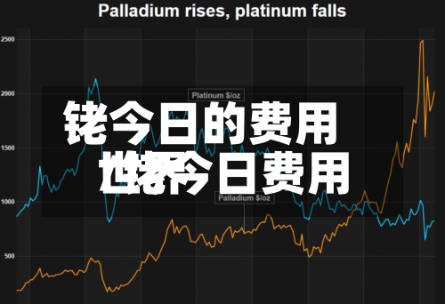 铑今日的费用/铑今日费用世界-第2张图片