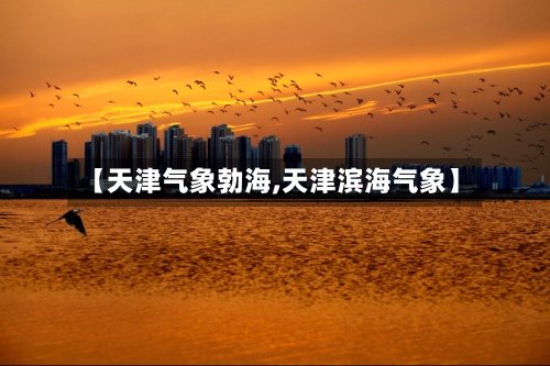 【天津气象勃海,天津滨海气象】-第3张图片