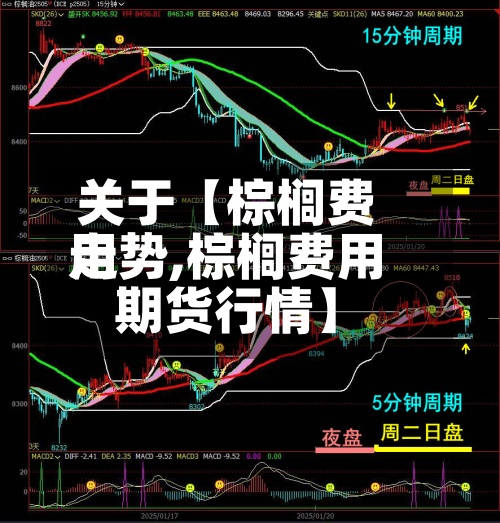 关于【棕榈费用
走势,棕榈费用
期货行情】