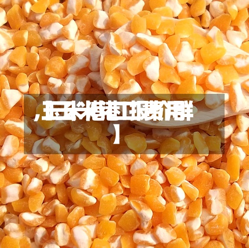 【玉米港口费用
,玉米港口报价群】-第2张图片