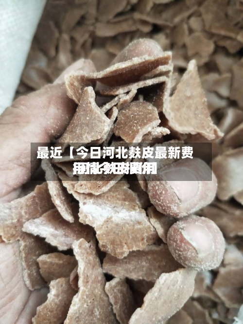 最近【今日河北麸皮最新费用
,河北麸皮费用
行情今日报价】-第2张图片