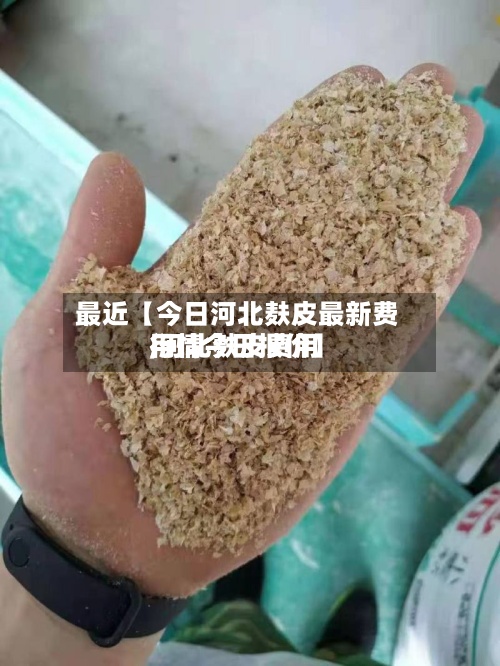 最近【今日河北麸皮最新费用
,河北麸皮费用
行情今日报价】