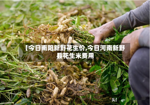 【今日南阳新野花生价,今日河南新野县花生米费用】-第2张图片