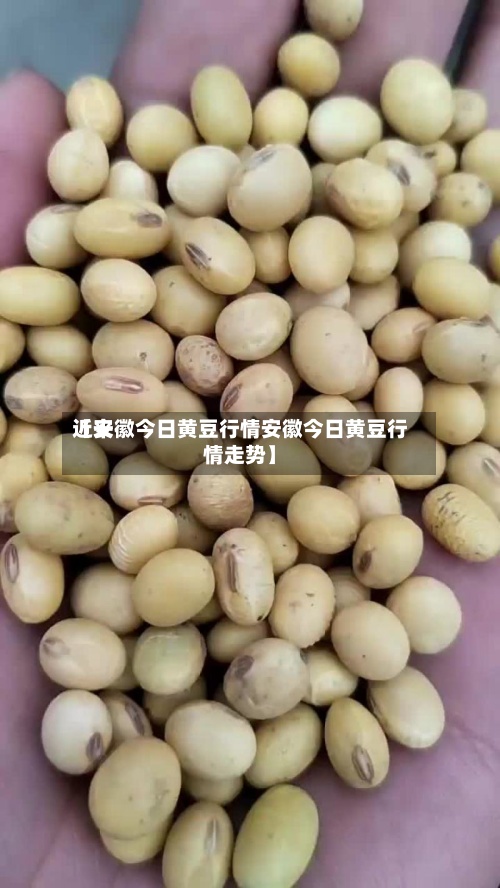 近来【安徽今日黄豆行情安徽今日黄豆行情走势】-第2张图片
